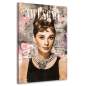 Preview: Audrey Hepburn Pop Art Bild von Ron Danell