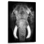 Preview: Elefant Leinwandbilder Preview: Elefant Leinwandbilder