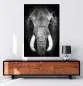 Preview: Wandbild Elefant Preview: Wandbild Elefant