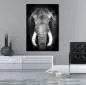 Preview: Elefant Leinwandbild Preview: Elefant Leinwandbild