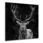 Preview: Hirsch Wandbild von Kunstgestalten24 Preview: Hirsch Wandbild von Kunstgestalten24