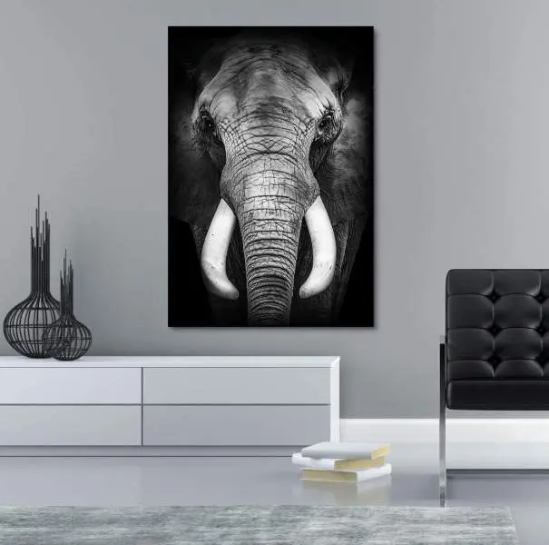 Elefant Leinwandbild