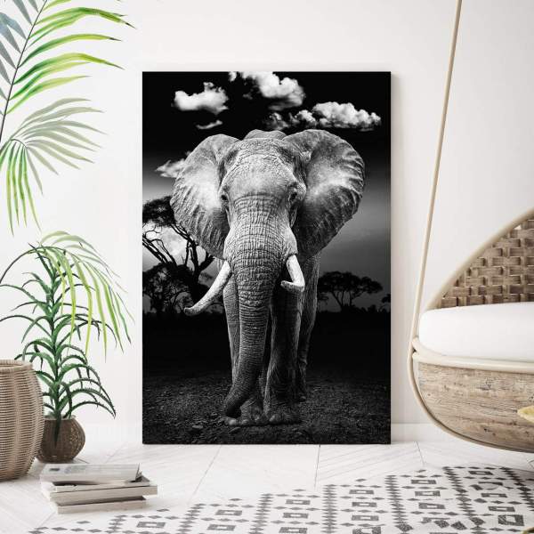 Acrylglasbild-elefant