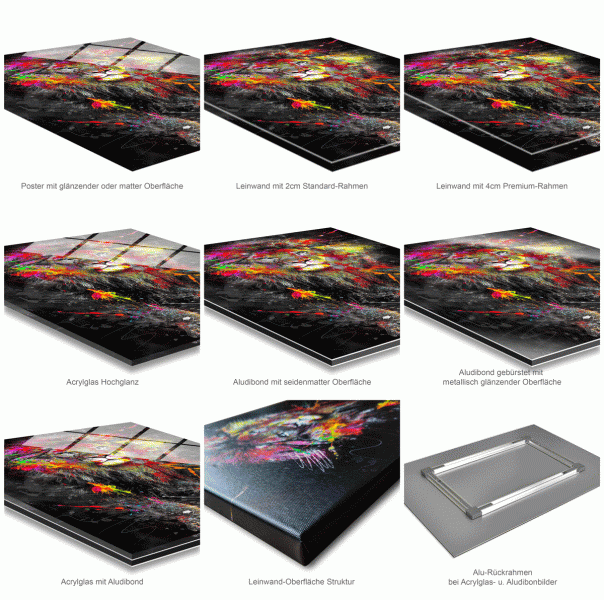 Wandbild Leinwandbild Nashorn Abstrakt Color