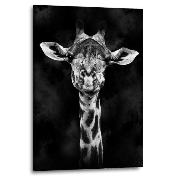 Wandbild Leinwandbild Giraffe Black and White