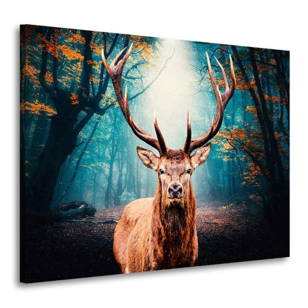 Wandbild Leinwandbild Hirsch Forest