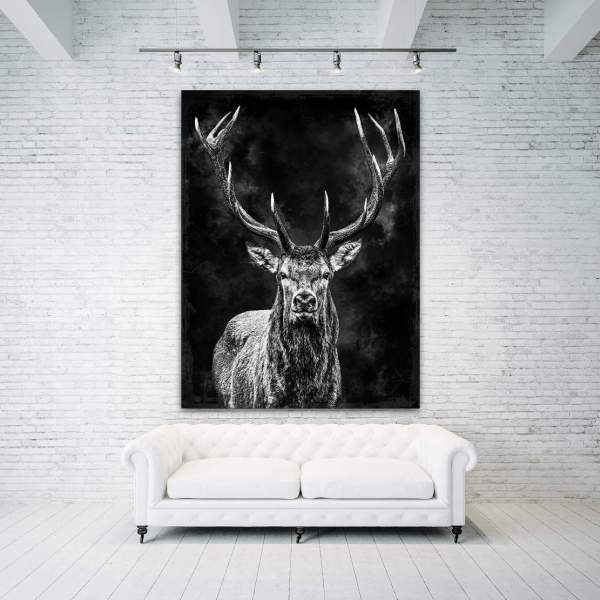 Hirsch-Leinwandbild