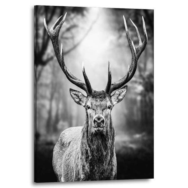 Wandbild Leinwandbild Hirsch Forest Black and White