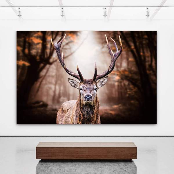 Leopard Leinwandbild von Kunstgestalten24