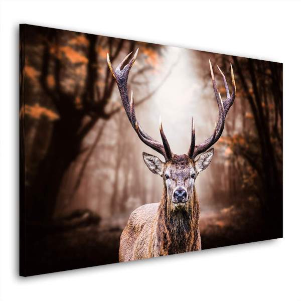 Leopard Leinwandbild von Kunstgestalten24