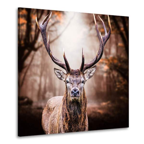 Hirsch Wandbild von Kunstgestalten24