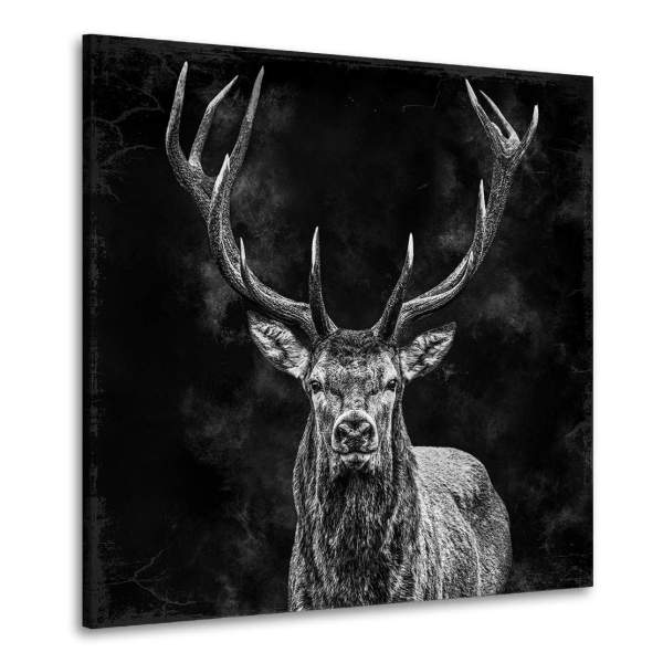 Hirsch Wandbild von Kunstgestalten24