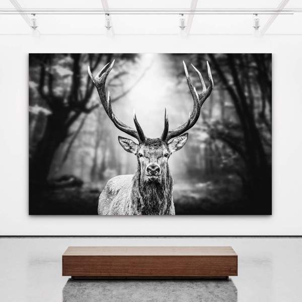 Hirsch-Leinwandbild