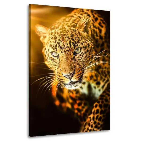 Wandbild Leinwandbild Leopard Sunset Style