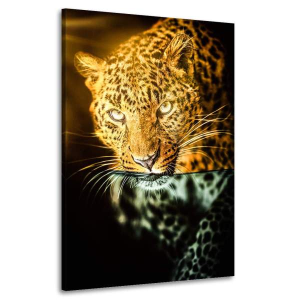 Leopard Leinwandbild von Kunstgestalten24