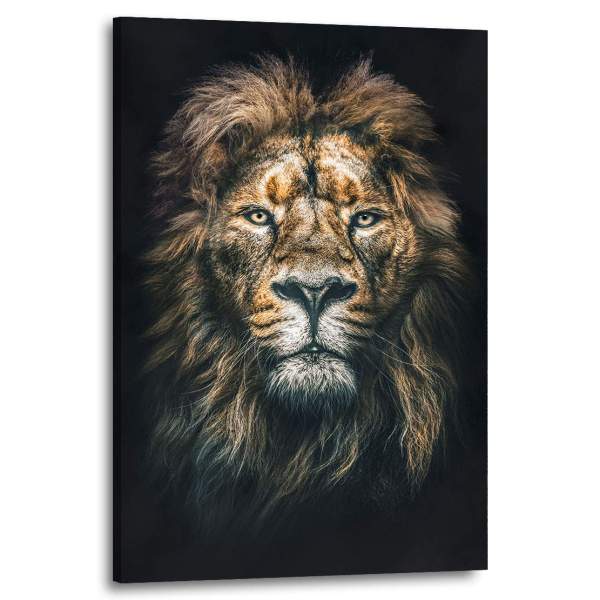 Löwe-wandbild-Poster