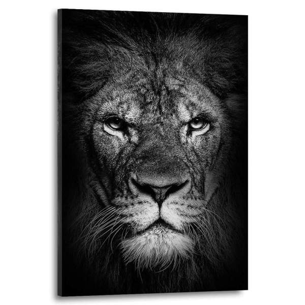 Löwe-Leinwandbild-Poster