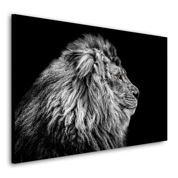 Löwe-Leinwandbild-Wandbild