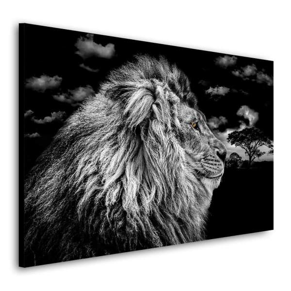 Löwe-Leinwandbild-Poster