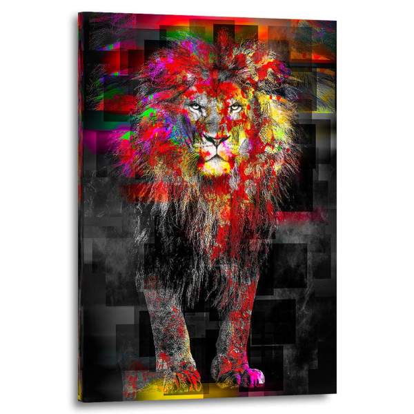 Aludibondbild-Löwe-Poster