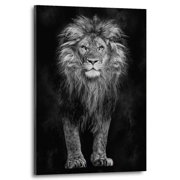 Löwe-Leinwandbild-Wandbilder