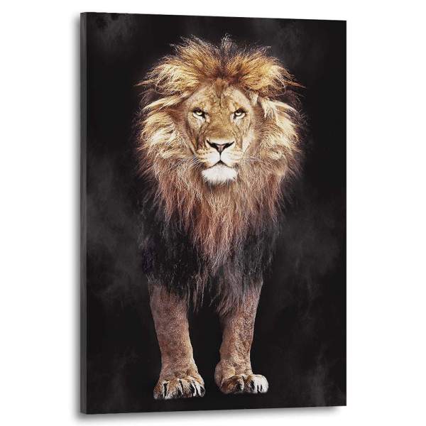 Leinwandbild-Löwe-Aludibondbild
