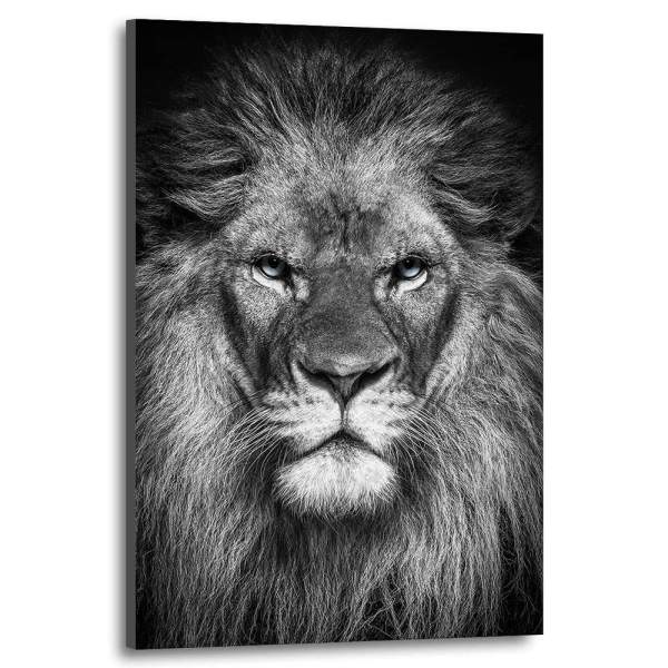 Löwen Wandbild zum verlieben