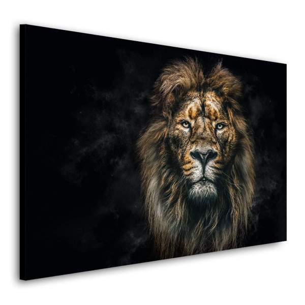 Acrylglas Wandbild Löwe