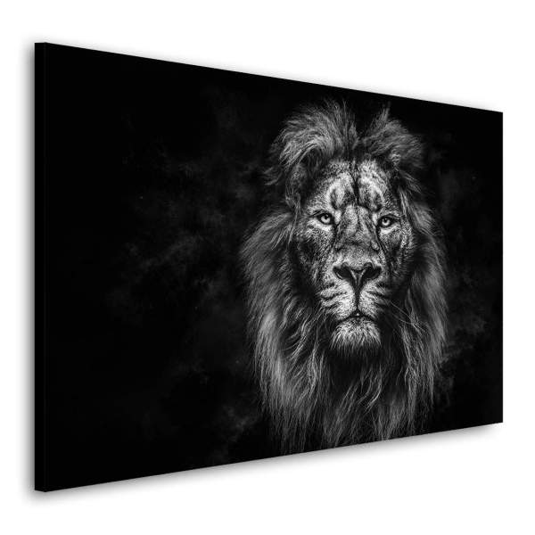 Löwe auf Aluminium Kunstgestalten24.de