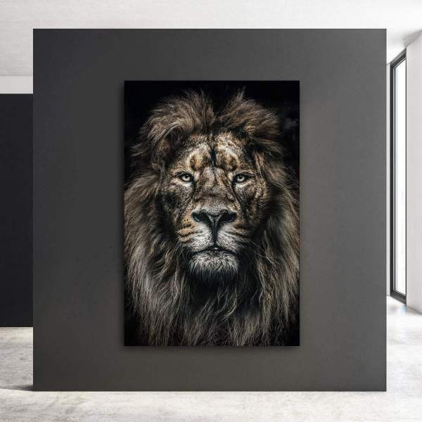 Wandbild Löwe Afrika