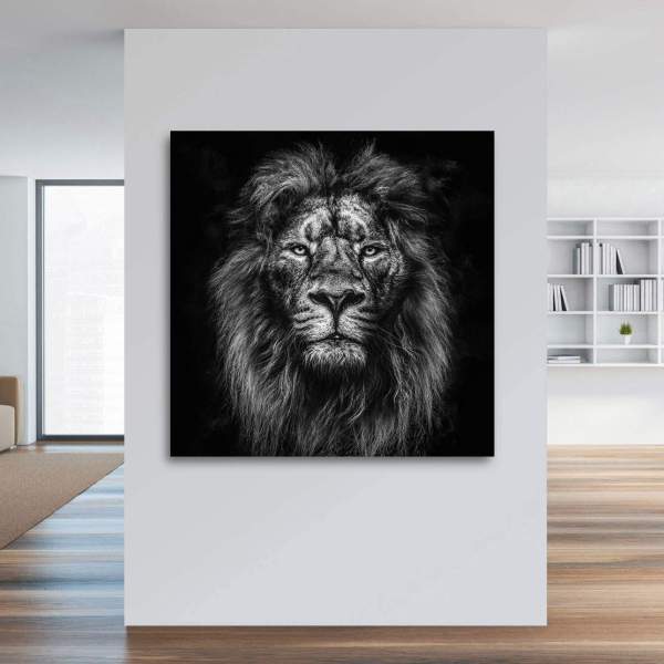Löwen Bild auf Leinwand