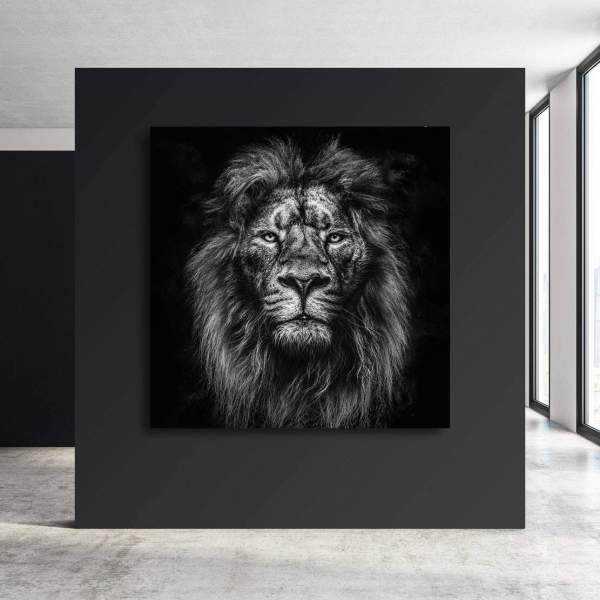 Löwen Bild auf Leinwand