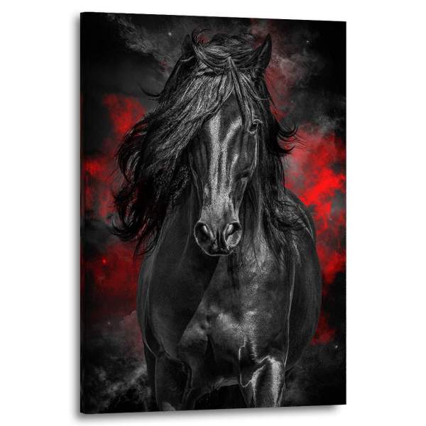 Wandbild Leinwandbild Pferd schwarzer Hengst