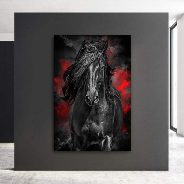 Leinwand Bild schwarzer Hengst