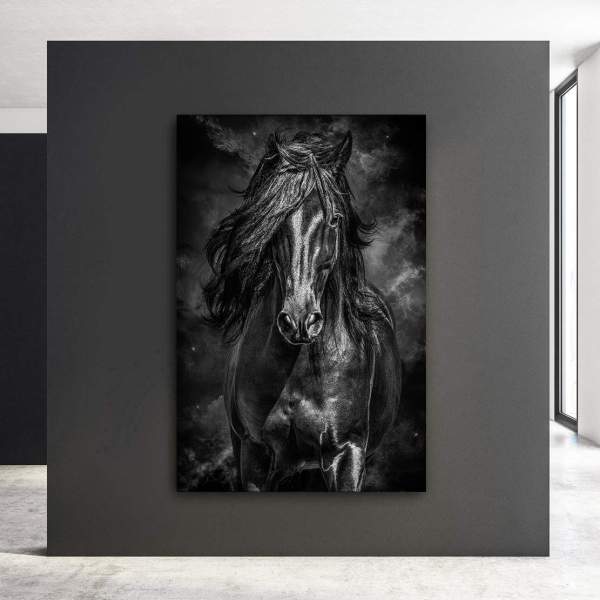 Acrylglas Bild schwarzer Hengst