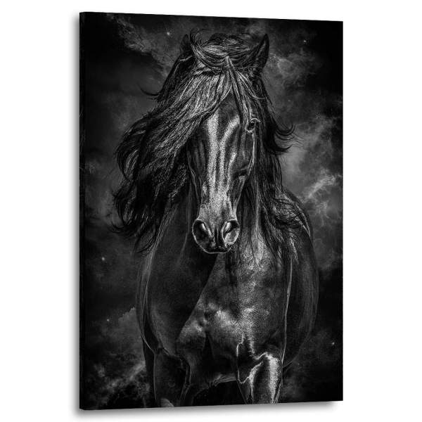 Wandbild Leinwandbild Pferd Dark Style