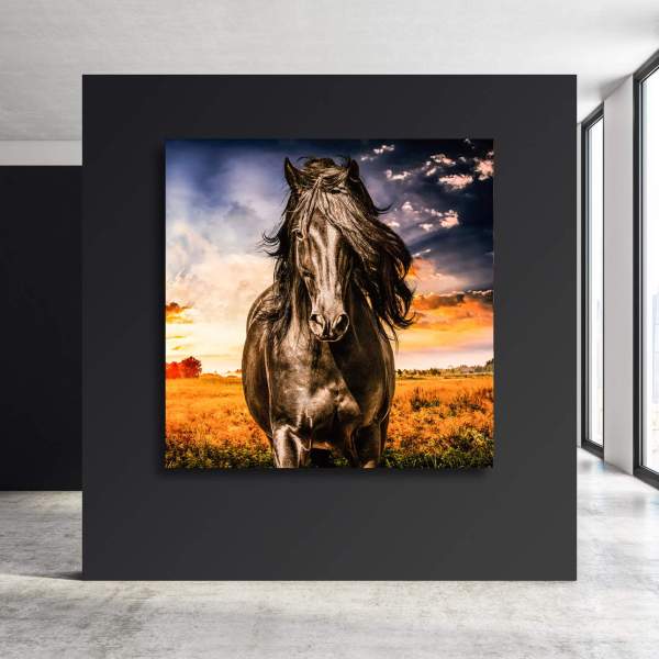 Leinwandbild Pferd Wandbild