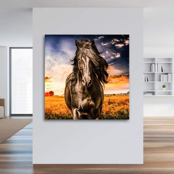 Leinwandbild Pferd Wandbild