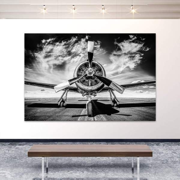 wandbild-leinwandbild-propeller-flugzeug