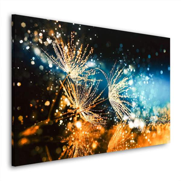 Löwenzahn-Leinwandbild-Wandbild