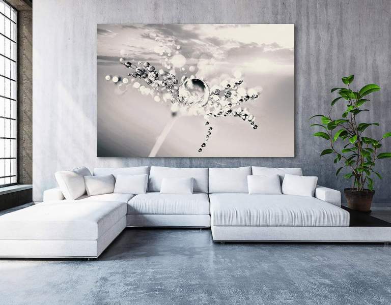 Pusteblume-Leinwandbild