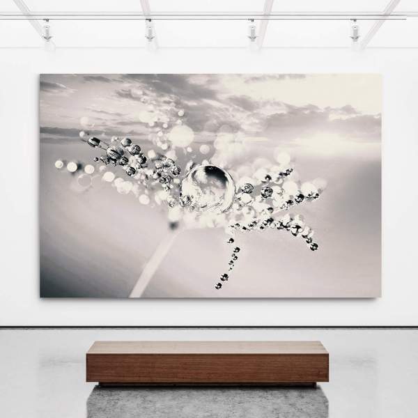 Pusteblume-Leinwandbild-Wandbild