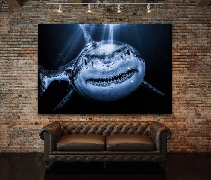 Acrylglasbild-Hai-Meer