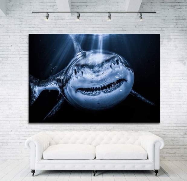 Leinwandbild-Hai-Meer