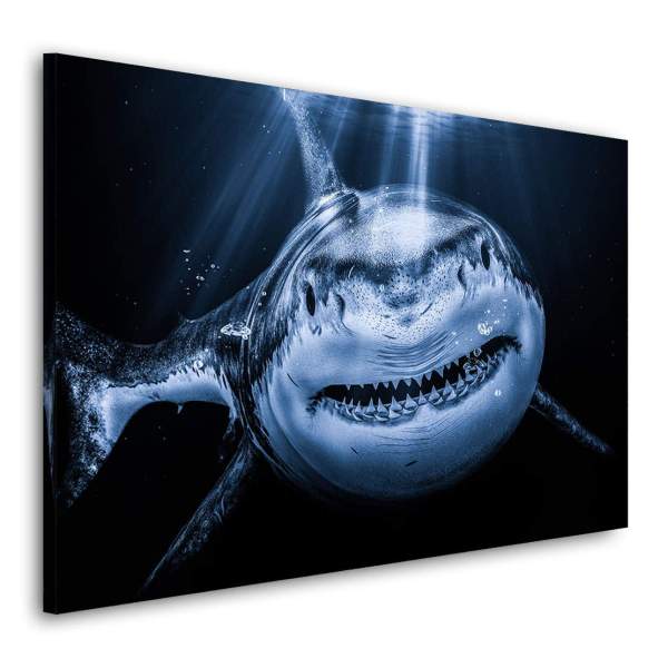 Leinwandbild-Hai-Meer