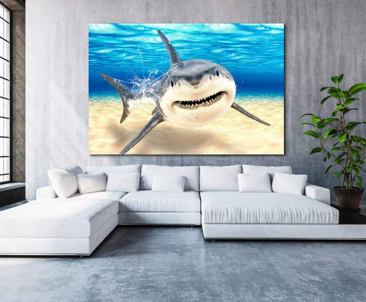 Leinwandbild-Hai-Acrylglas