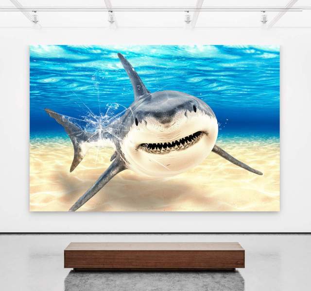 Leinwandbild-Hai-Acrylglas