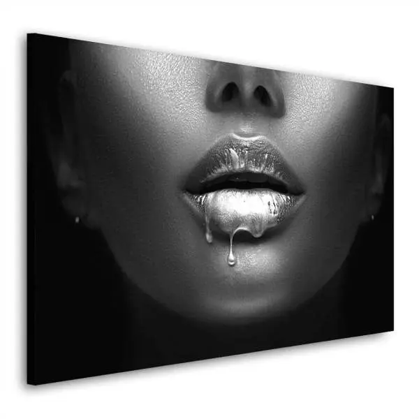 Wandbild Leinwandbild erotische Lippen Silver Lips