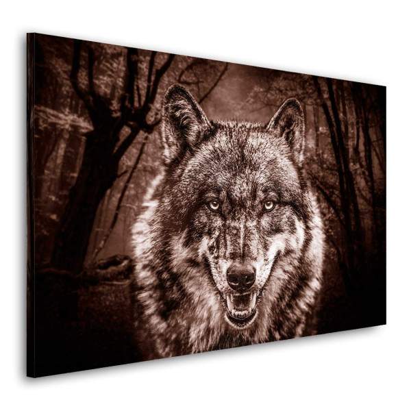 Wandbild Leinwandbild Wolf Vintage