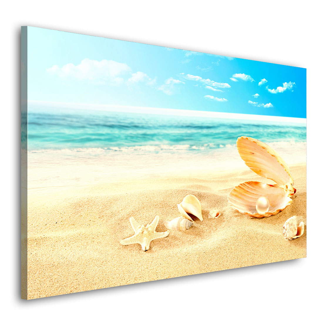 Leinwandbild Meer Muschel Meer Strand Bild kaufen